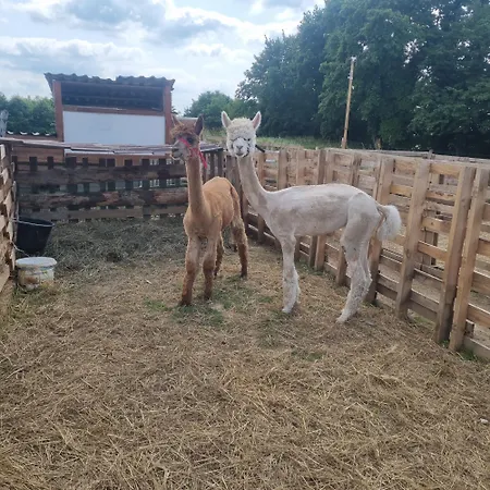 Uszate Ranczo Malinka *