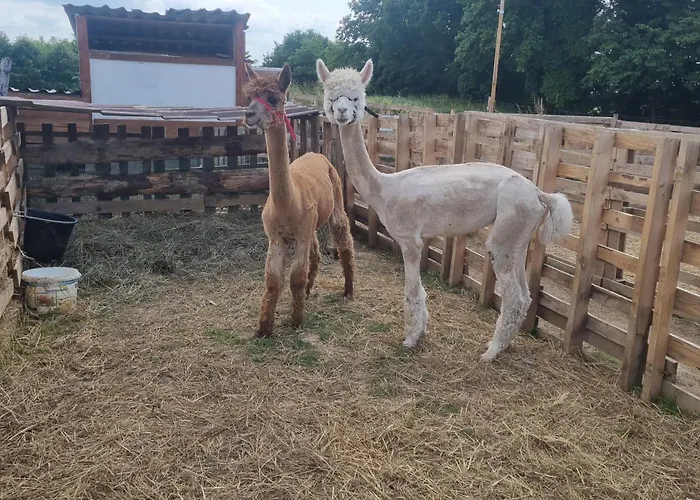 Uszate Ranczo Malinka *