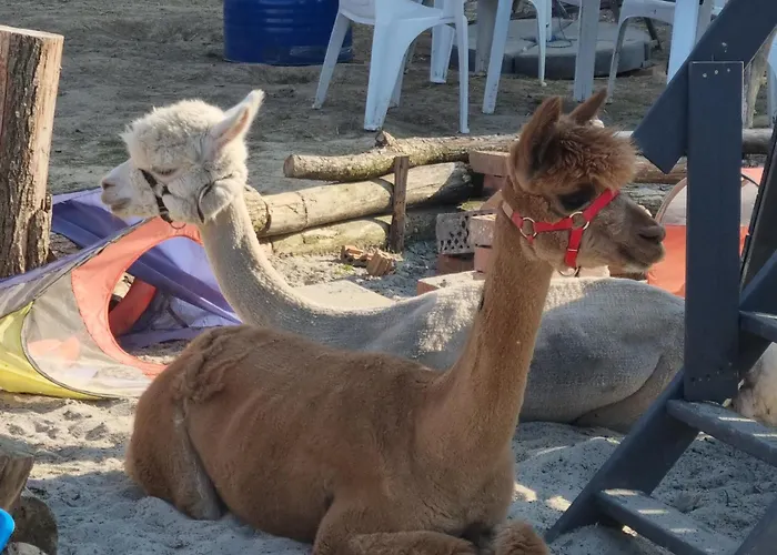 Οργανωμένο κάμπινγκ Uszate Ranczo Malinka *