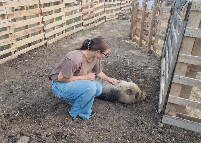 Uszate Ranczo Malinka * Rybna (Krakow)